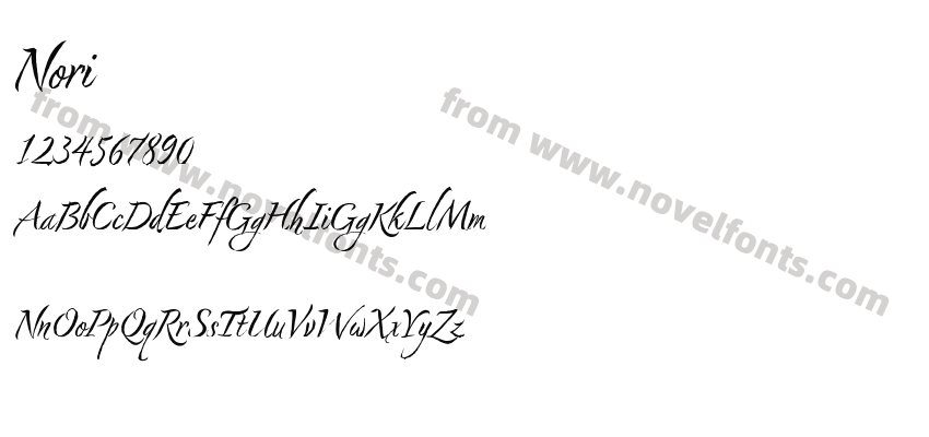 NoriPreview