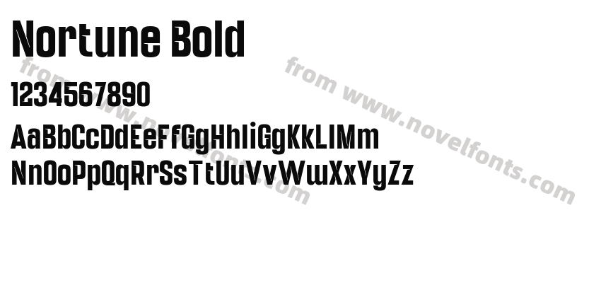 Nortune BoldPreview