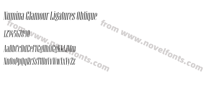 Numina Glamour Ligatures ObliquePreview