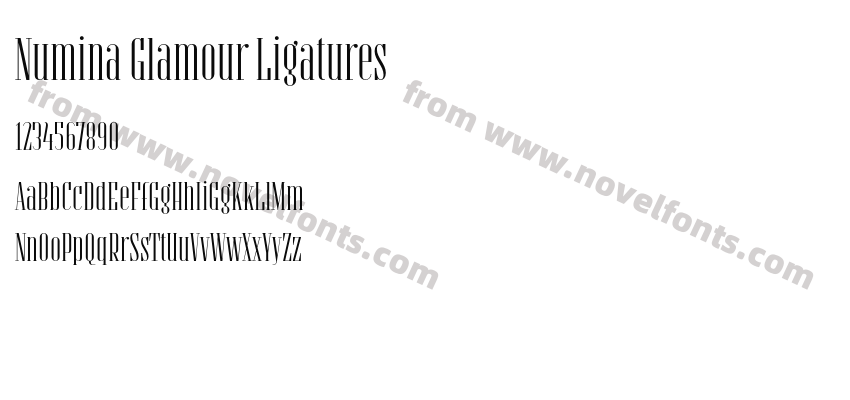 Numina Glamour LigaturesPreview