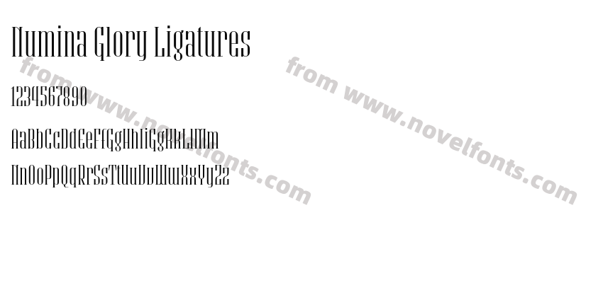 Numina Glory LigaturesPreview