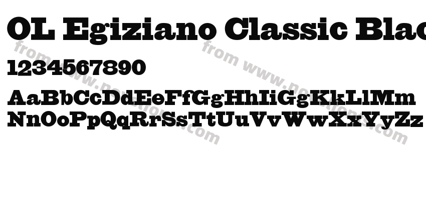 OL Egiziano Classic BlackPreview