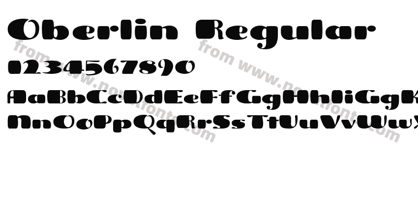 Oberlin RegularPreview