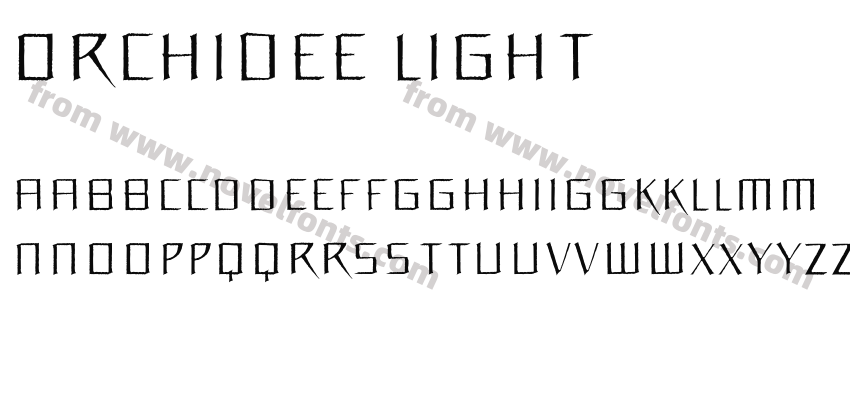 Orchidee LightPreview