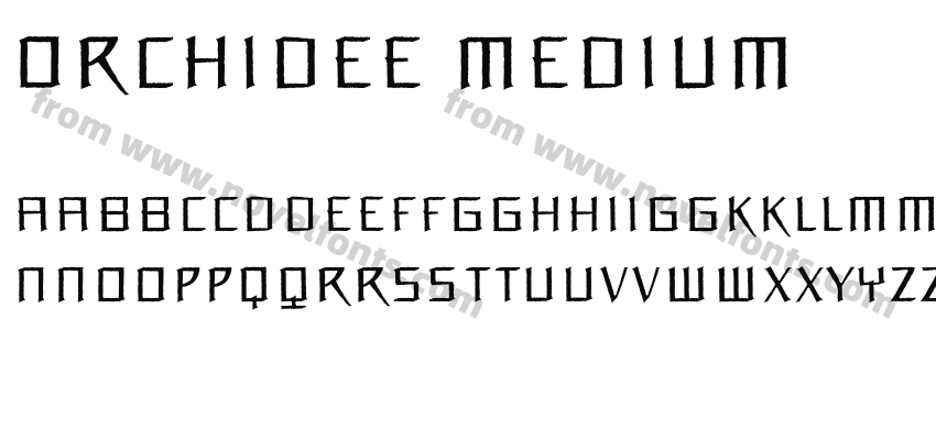 Orchidee MediumPreview