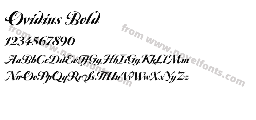Ovidius BoldPreview