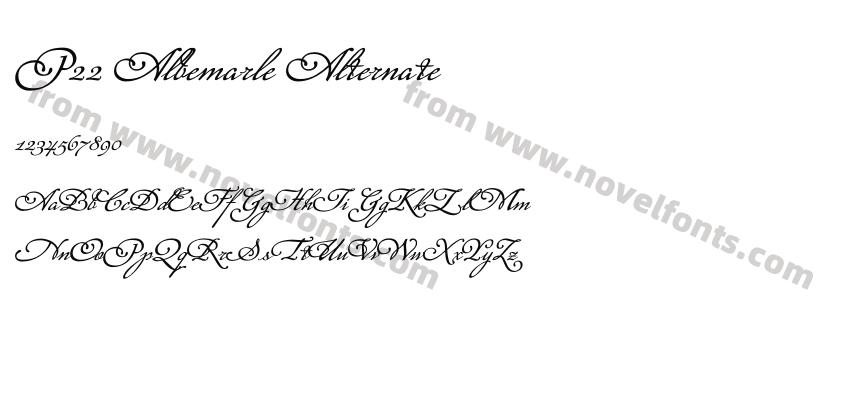 P22 Albemarle AlternatePreview