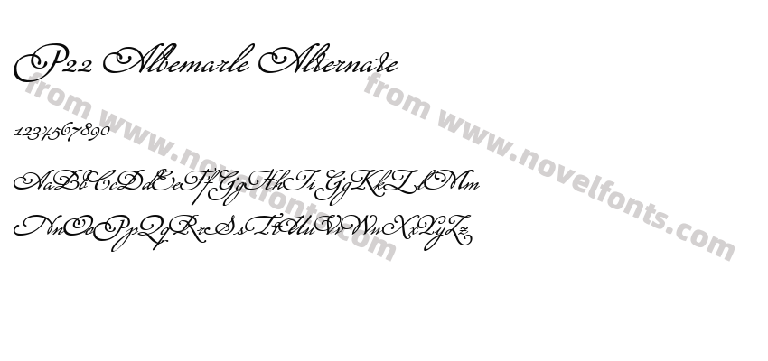 P22 Albemarle AlternatePreview