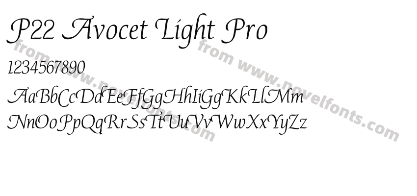 P22 Avocet Light ProPreview