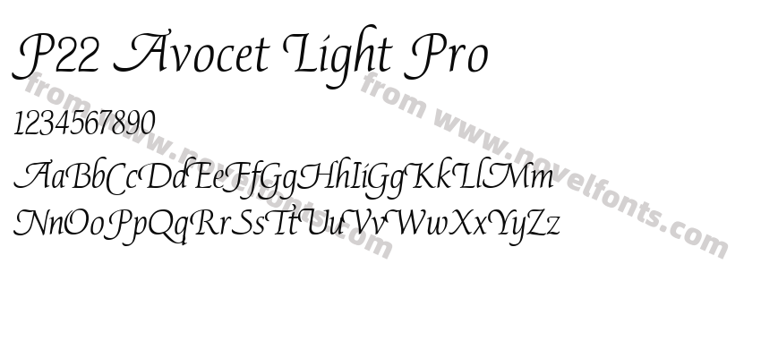 P22 Avocet Light ProPreview