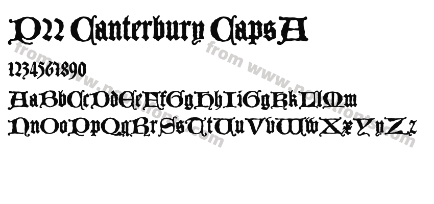 P22 Canterbury CapsAPreview