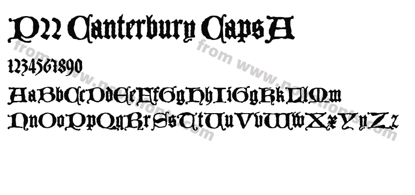 P22 Canterbury CapsAPreview