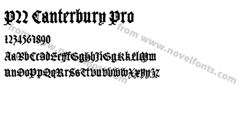 P22 Canterbury ProPreview