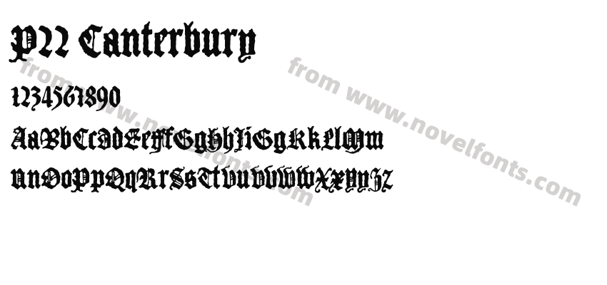 P22 CanterburyPreview