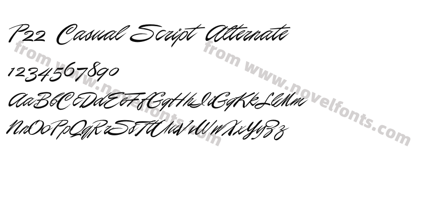 P22 Casual Script AlternatePreview