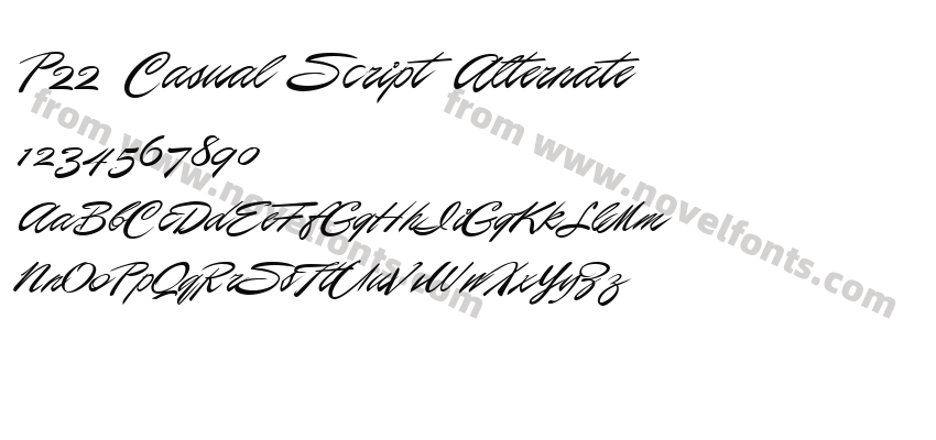 P22 Casual Script AlternatePreview