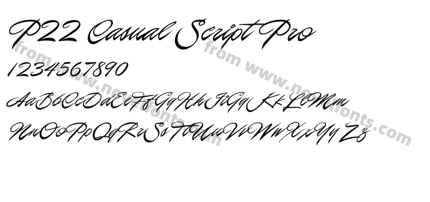 P22 Casual Script ProPreview