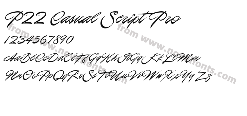 P22 Casual Script ProPreview