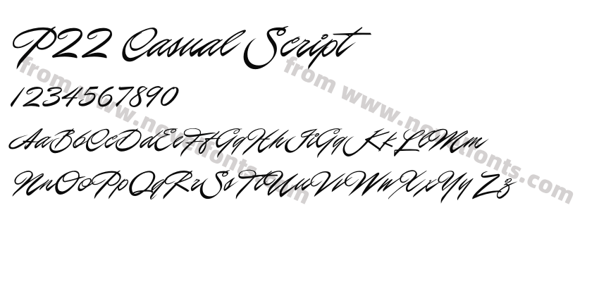P22 Casual ScriptPreview