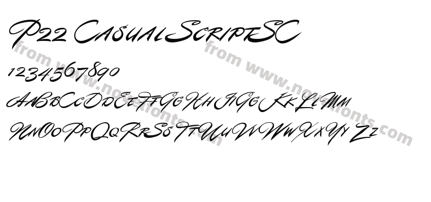 P22 Casual ScriptSCPreview