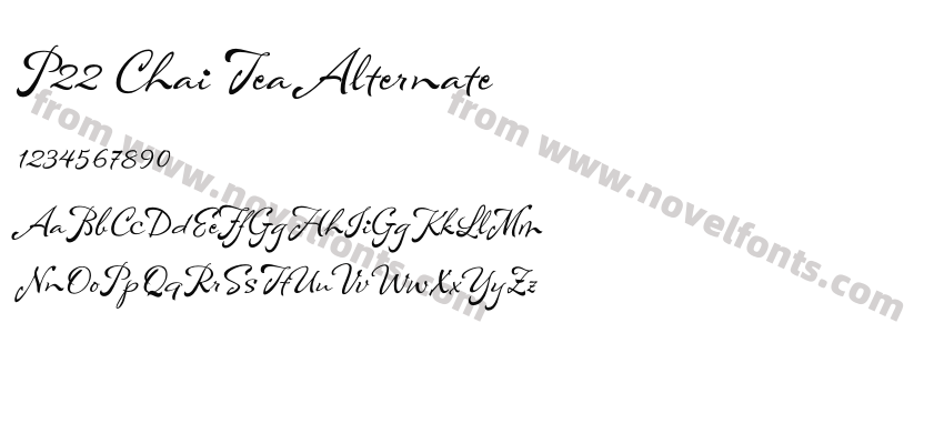 P22 Chai Tea AlternatePreview