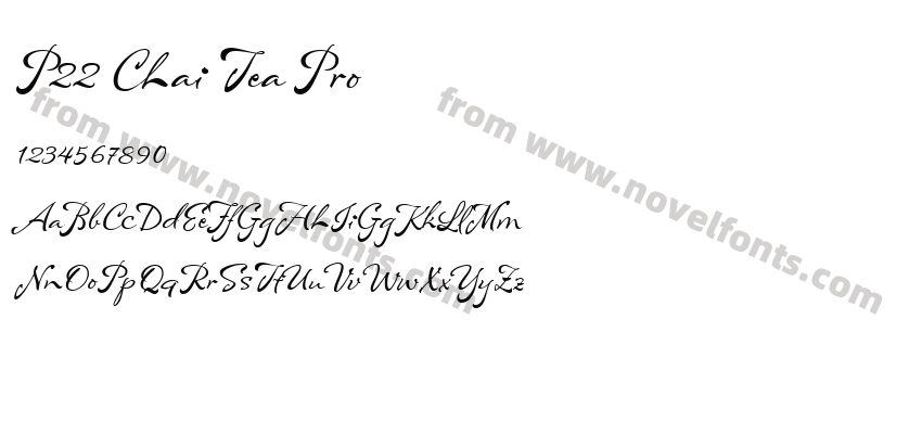P22 Chai Tea ProPreview