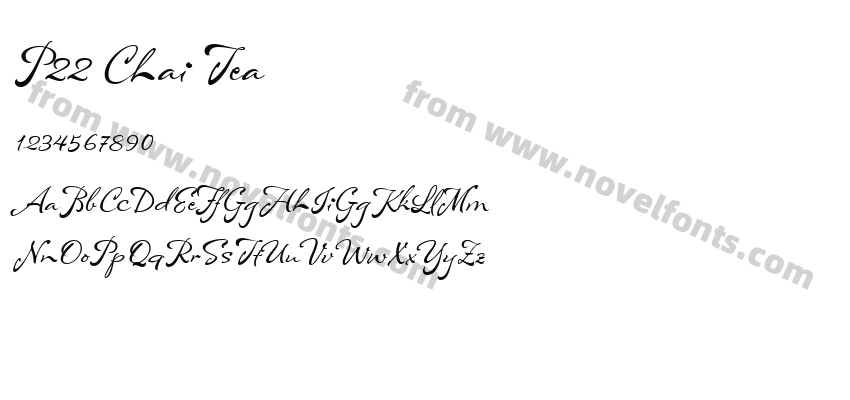 P22 Chai TeaPreview
