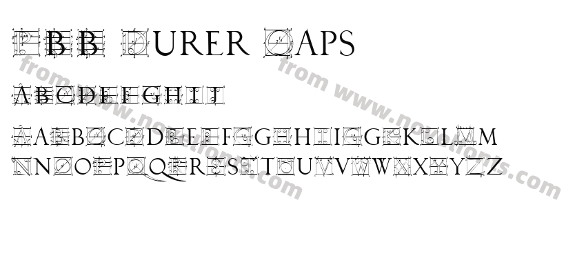 P22 Durer CapsPreview