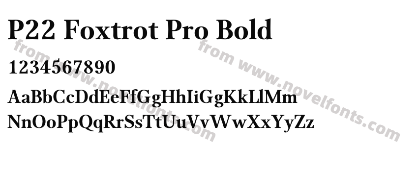 P22 Foxtrot Pro BoldPreview