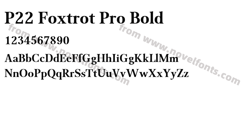 P22 Foxtrot Pro BoldPreview