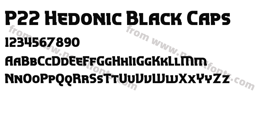 P22 Hedonic Black CapsPreview