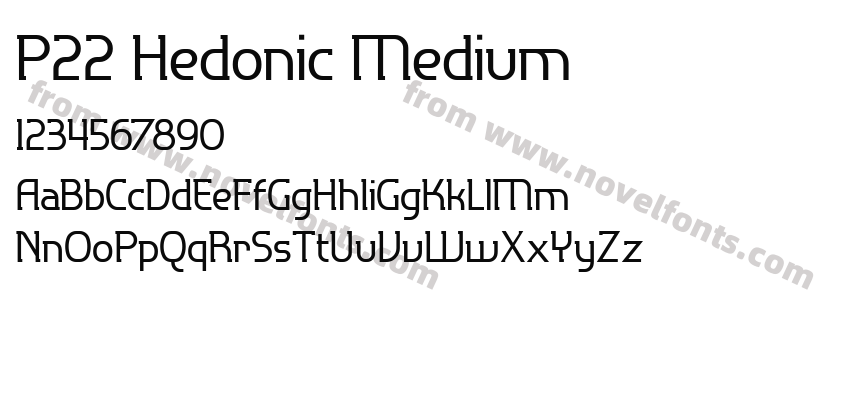 P22 Hedonic MediumPreview