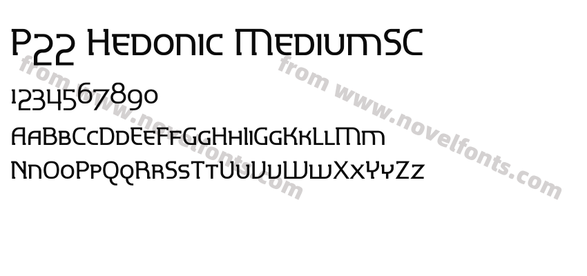 P22 Hedonic MediumSCPreview