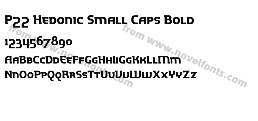 P22 Hedonic Small Caps BoldPreview