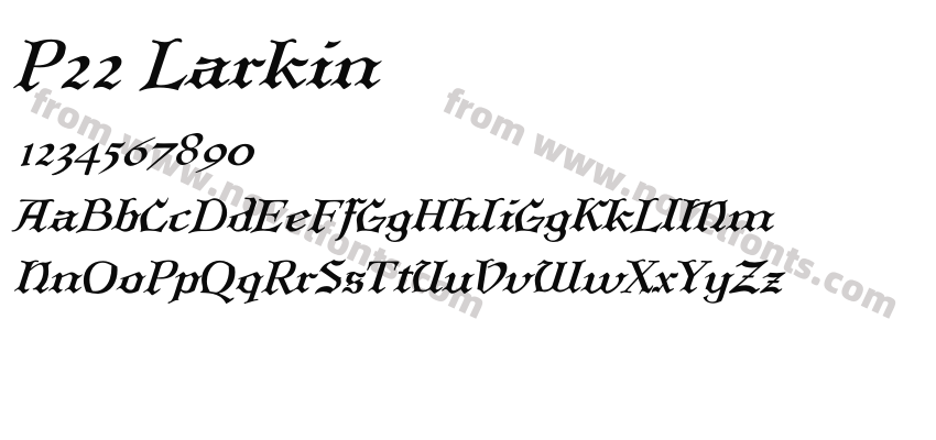 P22 LarkinPreview