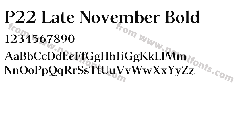 P22 Late November BoldPreview