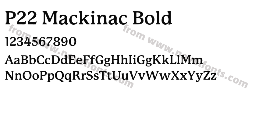 P22 Mackinac BoldPreview