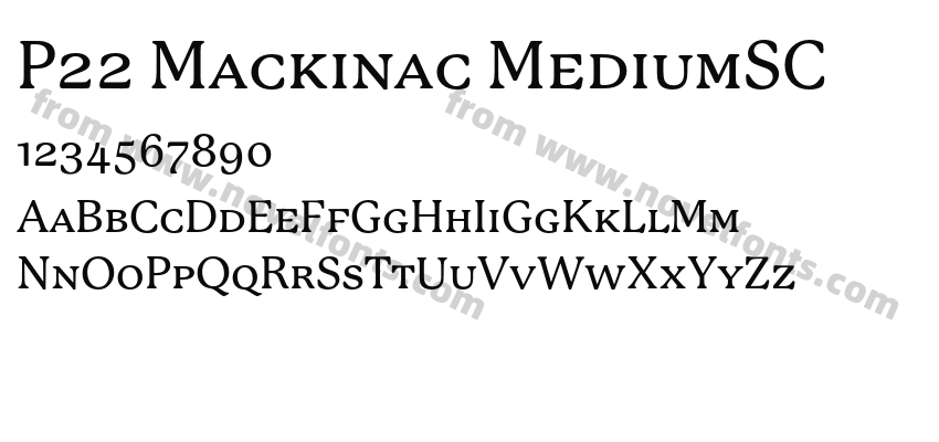 P22 Mackinac MediumSCPreview