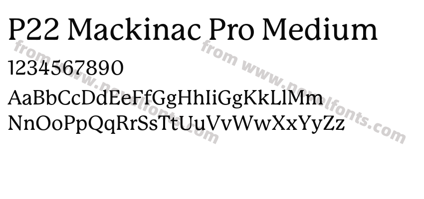 P22 Mackinac Pro MediumPreview