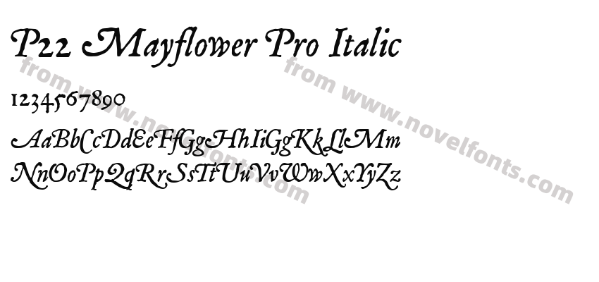P22 Mayflower Pro ItalicPreview
