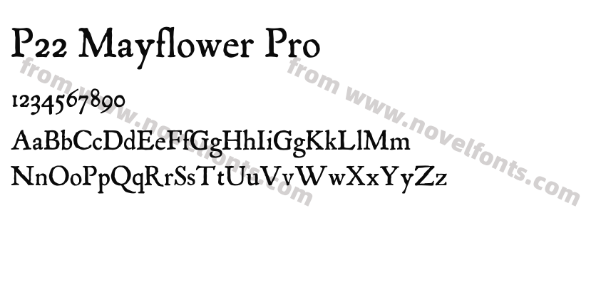 P22 Mayflower ProPreview