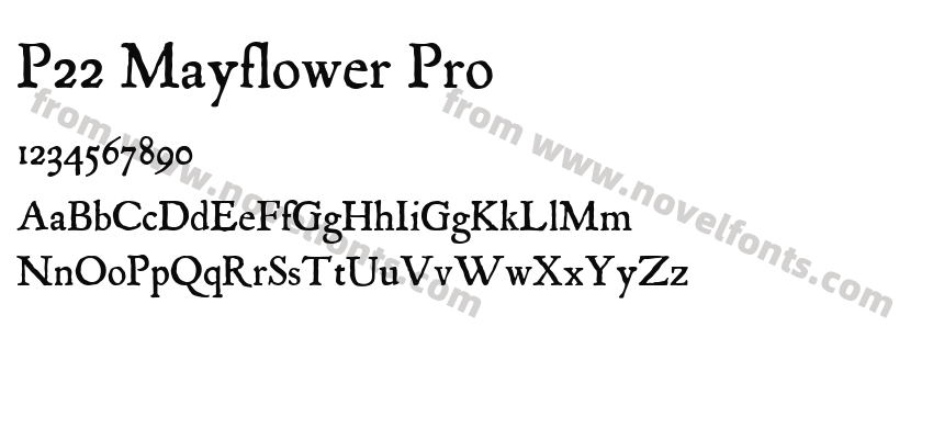 P22 Mayflower ProPreview
