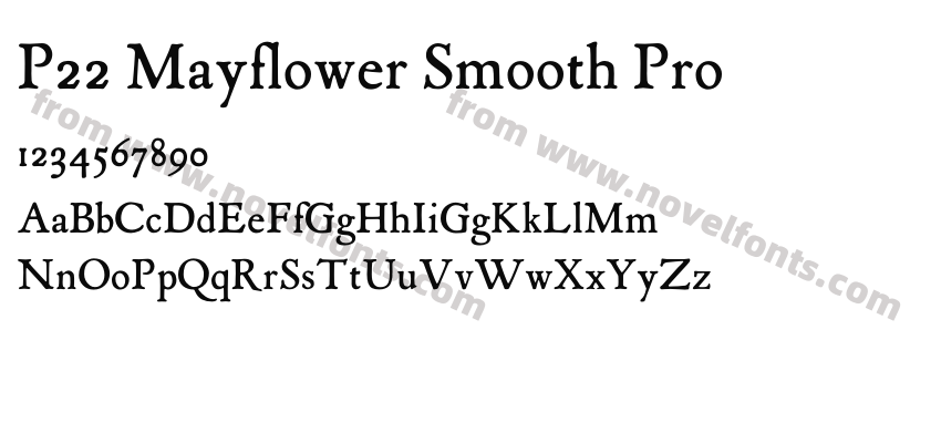 P22 Mayflower Smooth ProPreview
