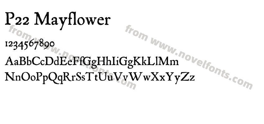 P22 MayflowerPreview