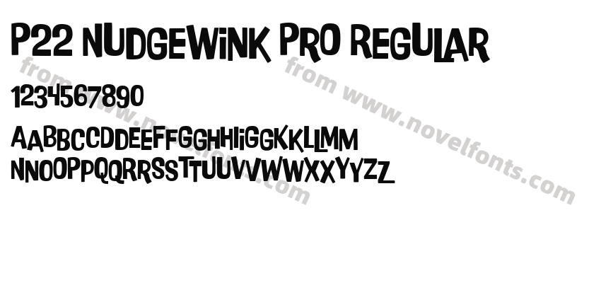 P22 Nudgewink Pro RegularPreview