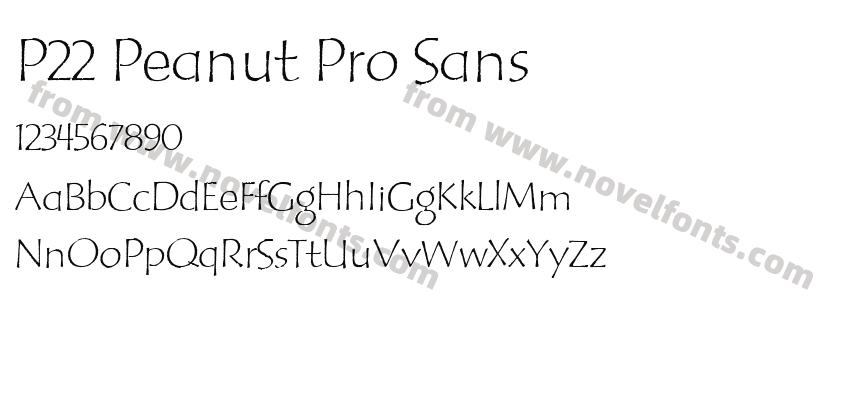 P22 Peanut Pro SansPreview