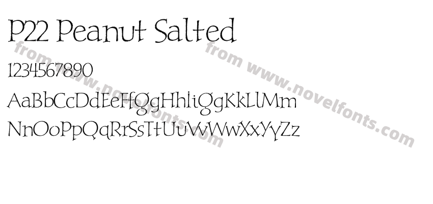 P22 Peanut SaltedPreview