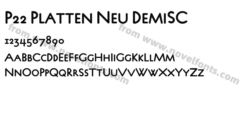P22 Platten Neu DemiSCPreview