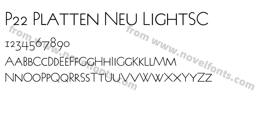 P22 Platten Neu LightSCPreview