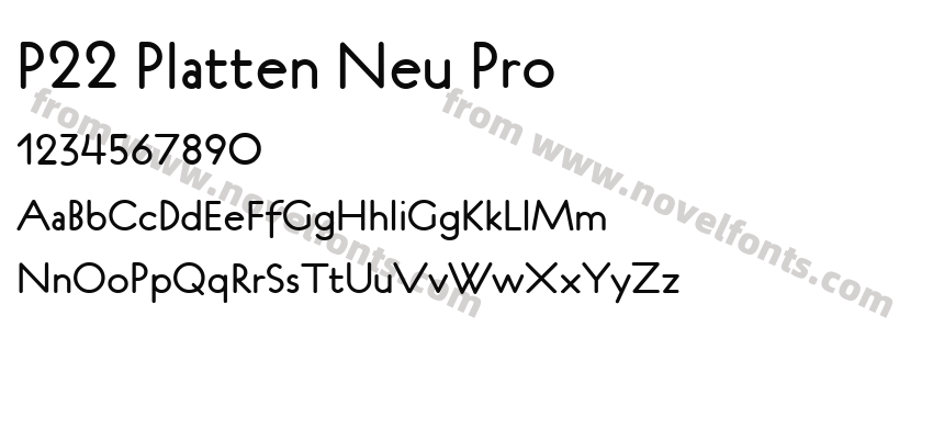 P22 Platten Neu ProPreview